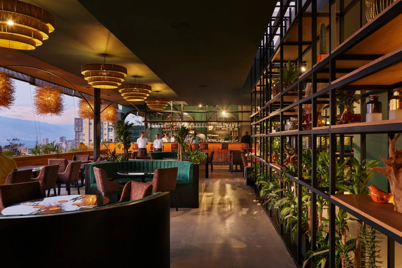 Restaurante Cannario en el rooftop, con estantería de plantas, lámparas y la ciudad al atardecer