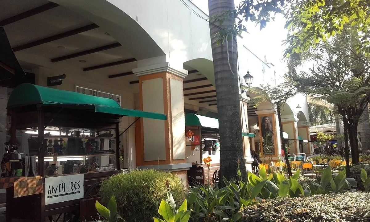 Pasillos al aire libre con palmas y jardines dentro de Jardín Plaza