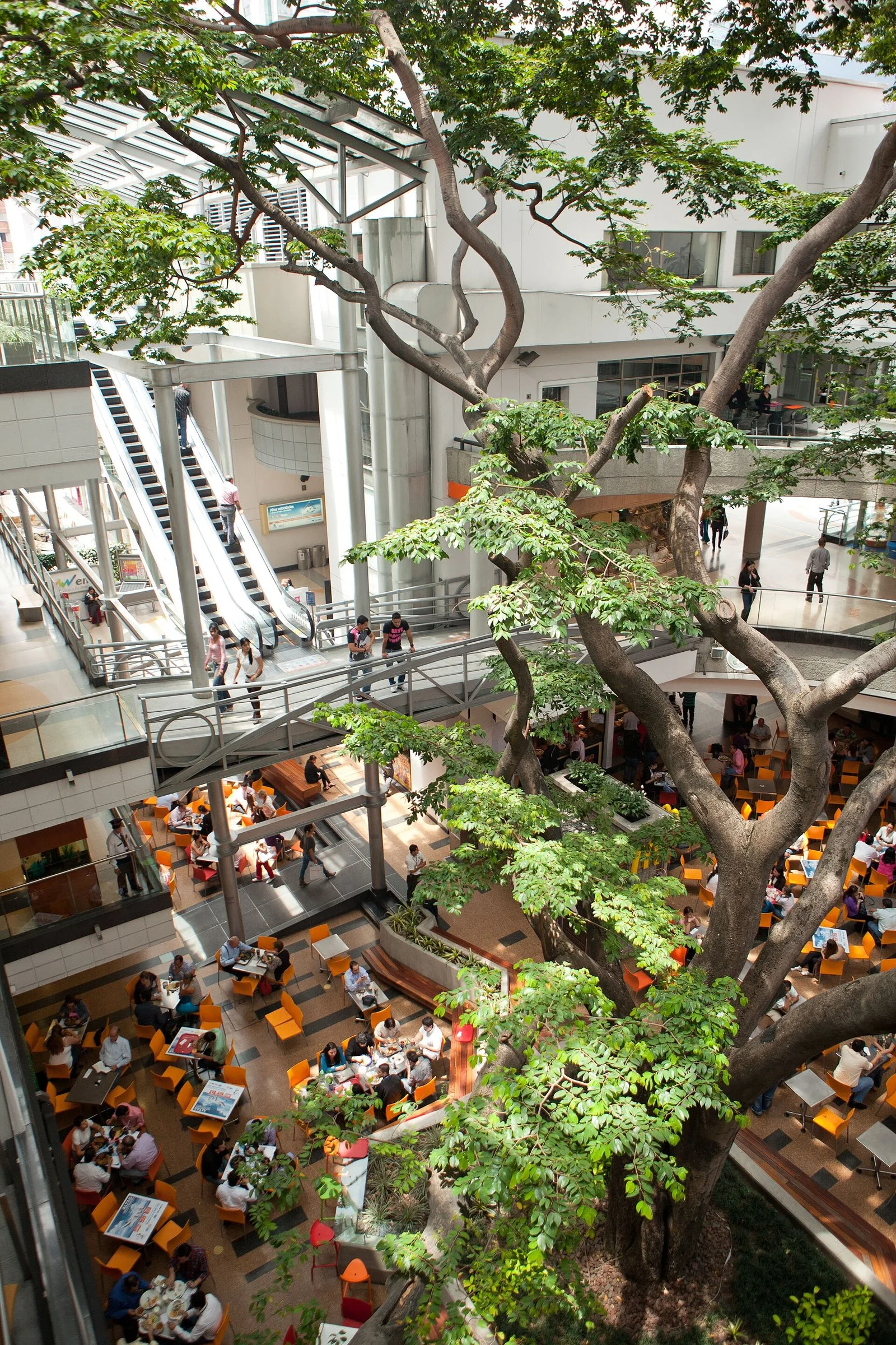 Manzana gigante de plantas en la entrada del Centro Comercial Oviedo