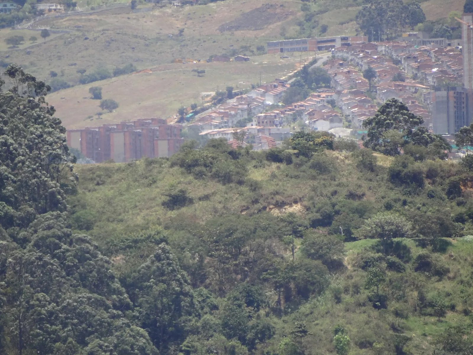Cerro El Volador