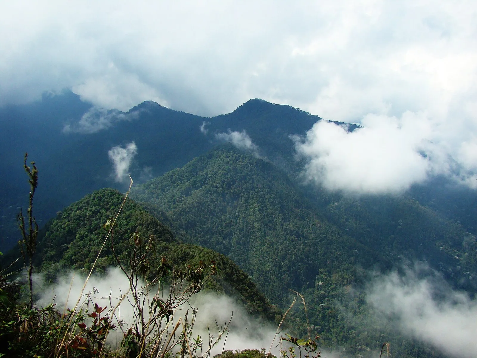 PNN Farallones de Cali: subida al Pico de Loro