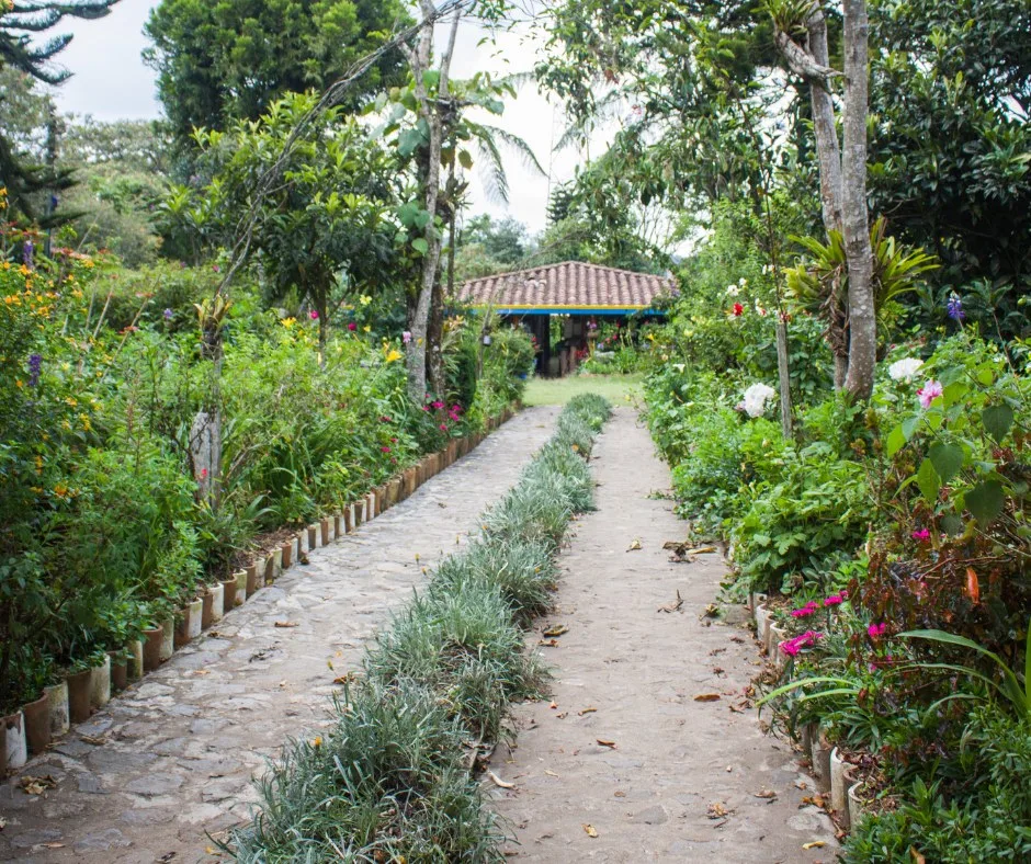 Sendero empedrado entre flores y árboles en la Finca Abuela Sarito