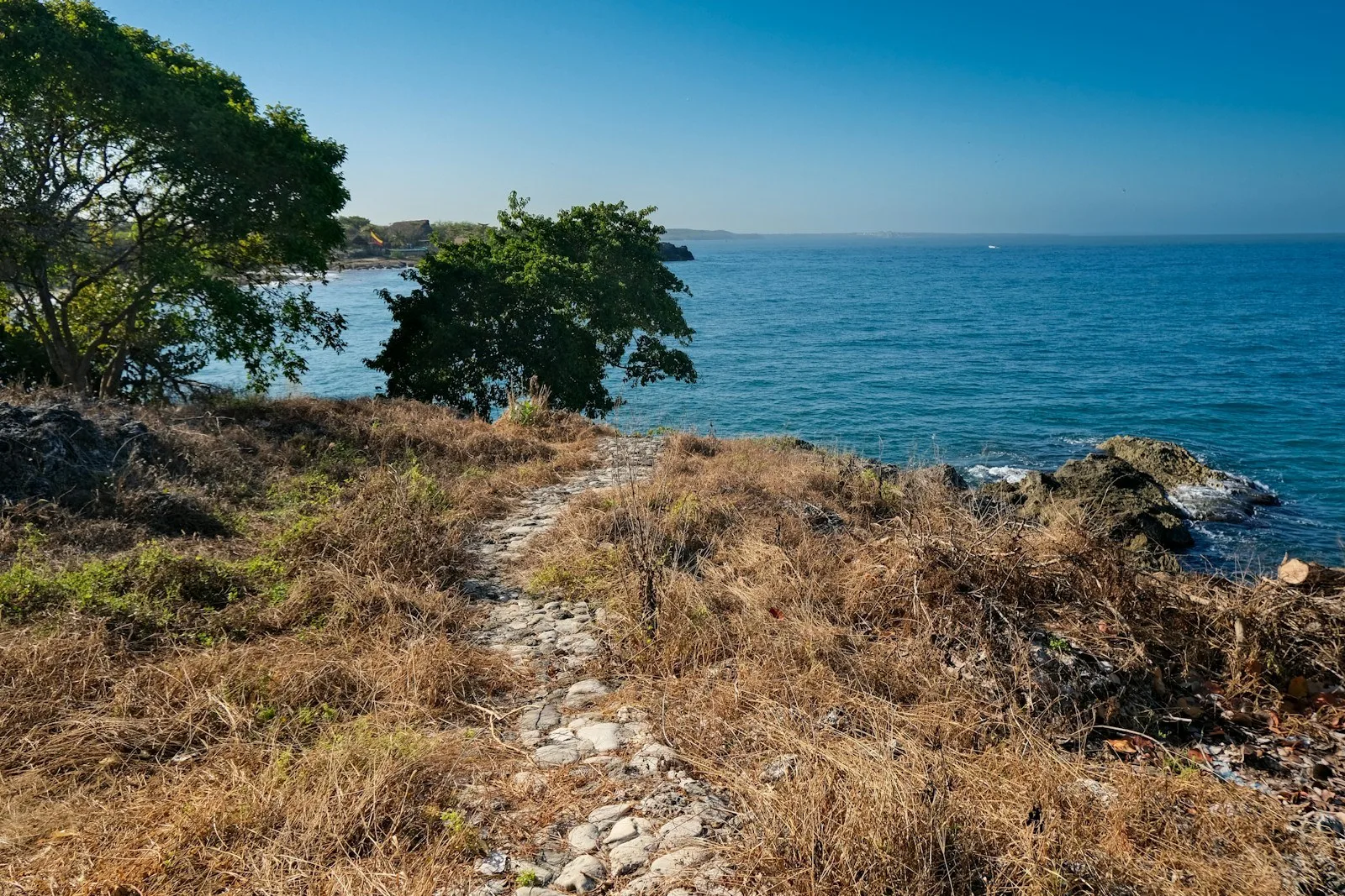 Sendero entre pasto seco y árboles hacia el mar en Tierra Bomba