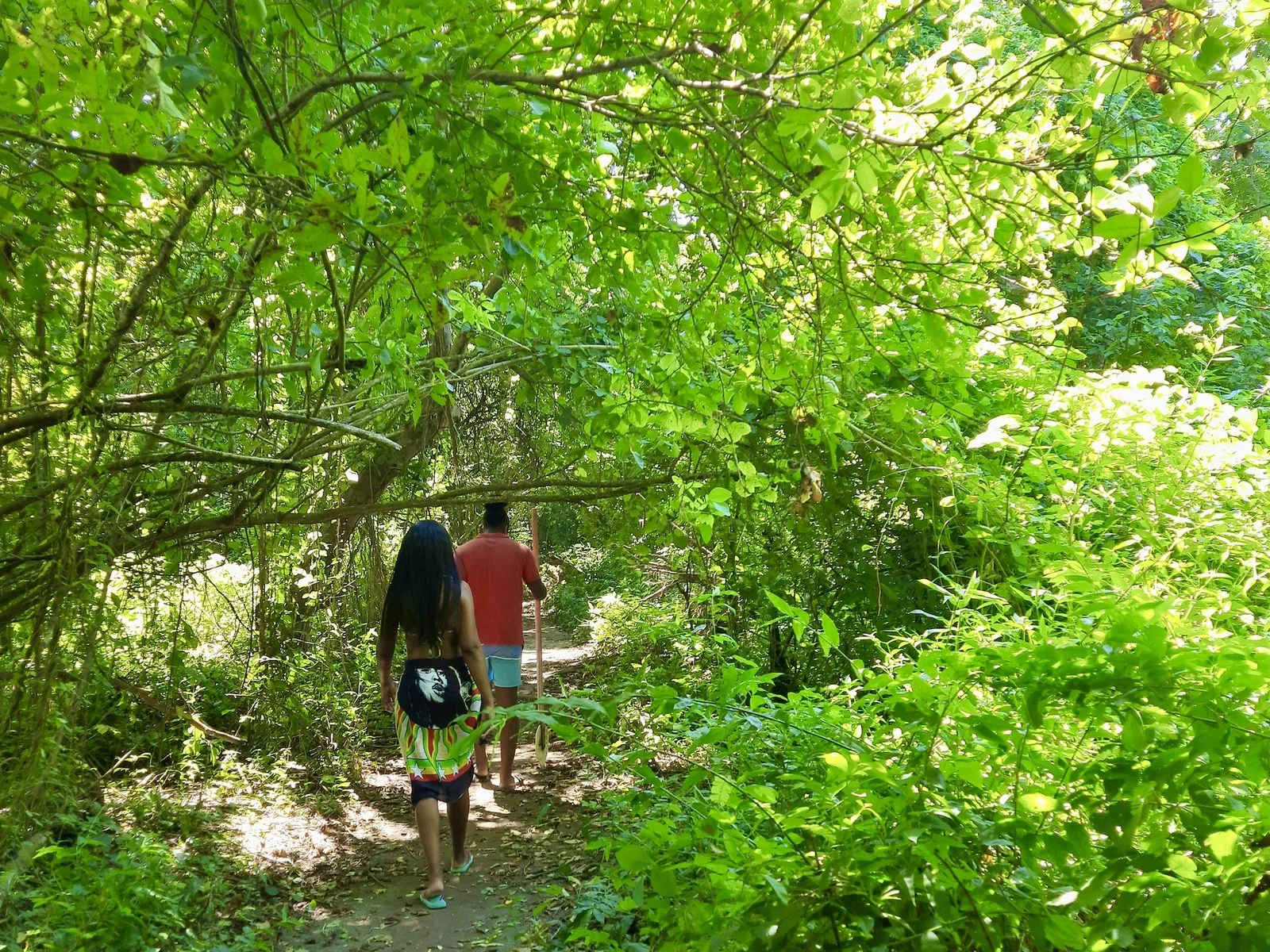 Sendero entre la vegetación del interior de Isla Grande