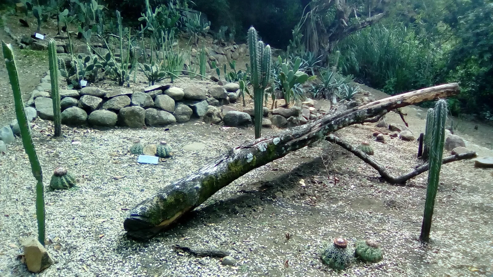 Jardín Botánico de Cali