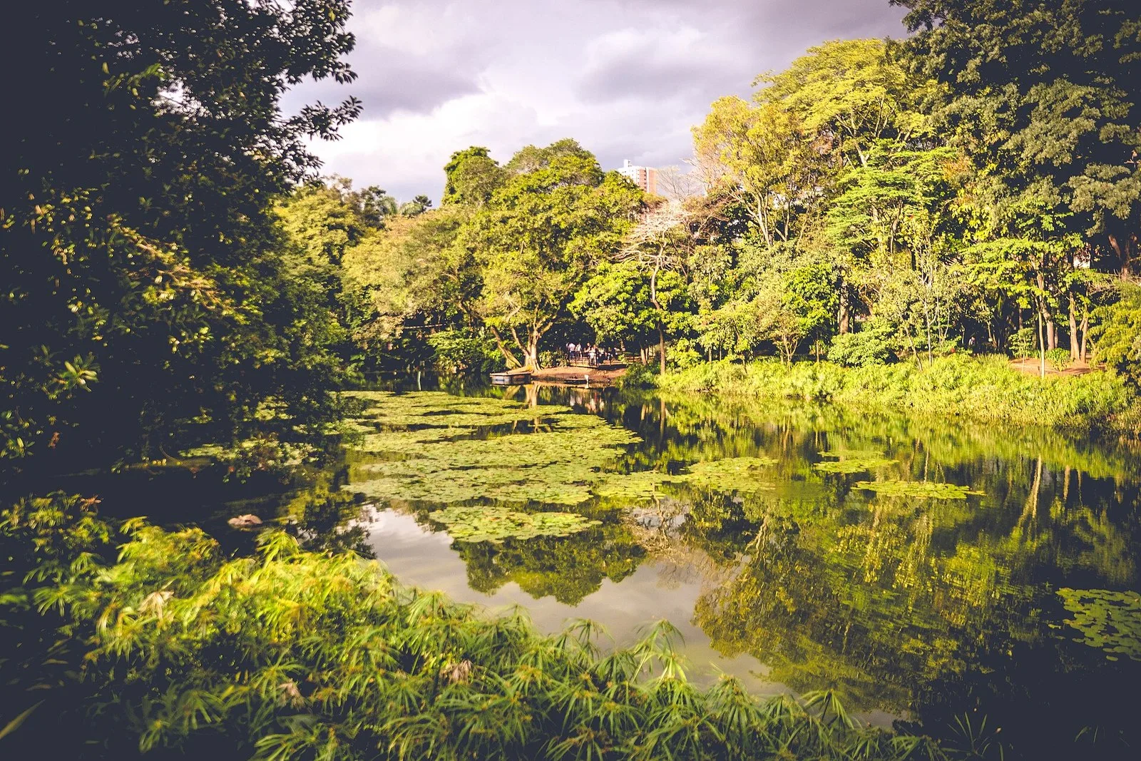 Lago y vegetación del Jardín Botánico de Medellín