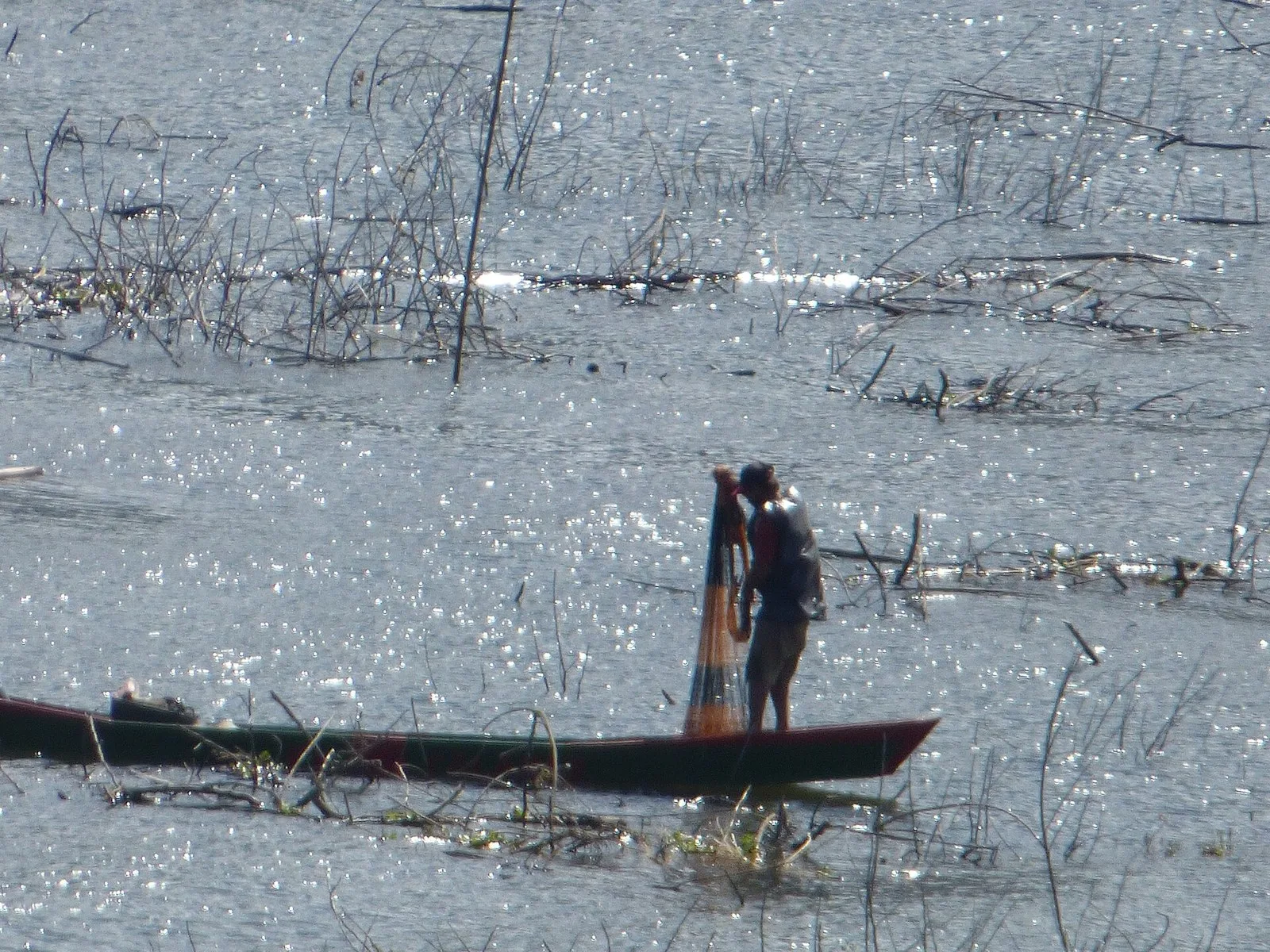 Pescador con atarraya de pie en una canoa en el Lago Calima