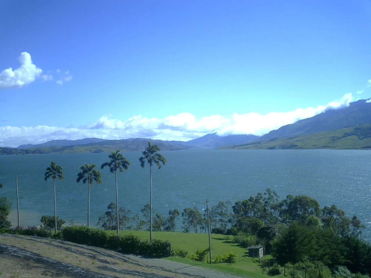 Palmas de cera frente al Lago Calima en un día despejado