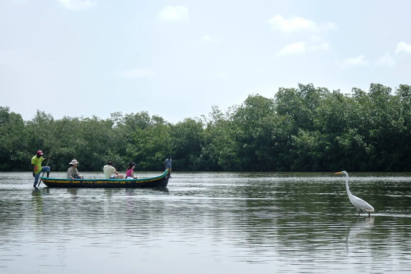 Canoa con visitantes y una garza blanca en la ciénaga de La Boquilla
