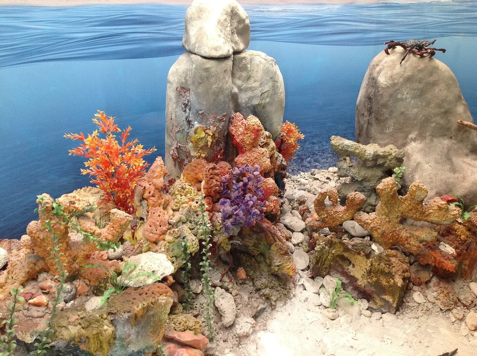 Montaje de fondo marino dentro del Museo del Agua