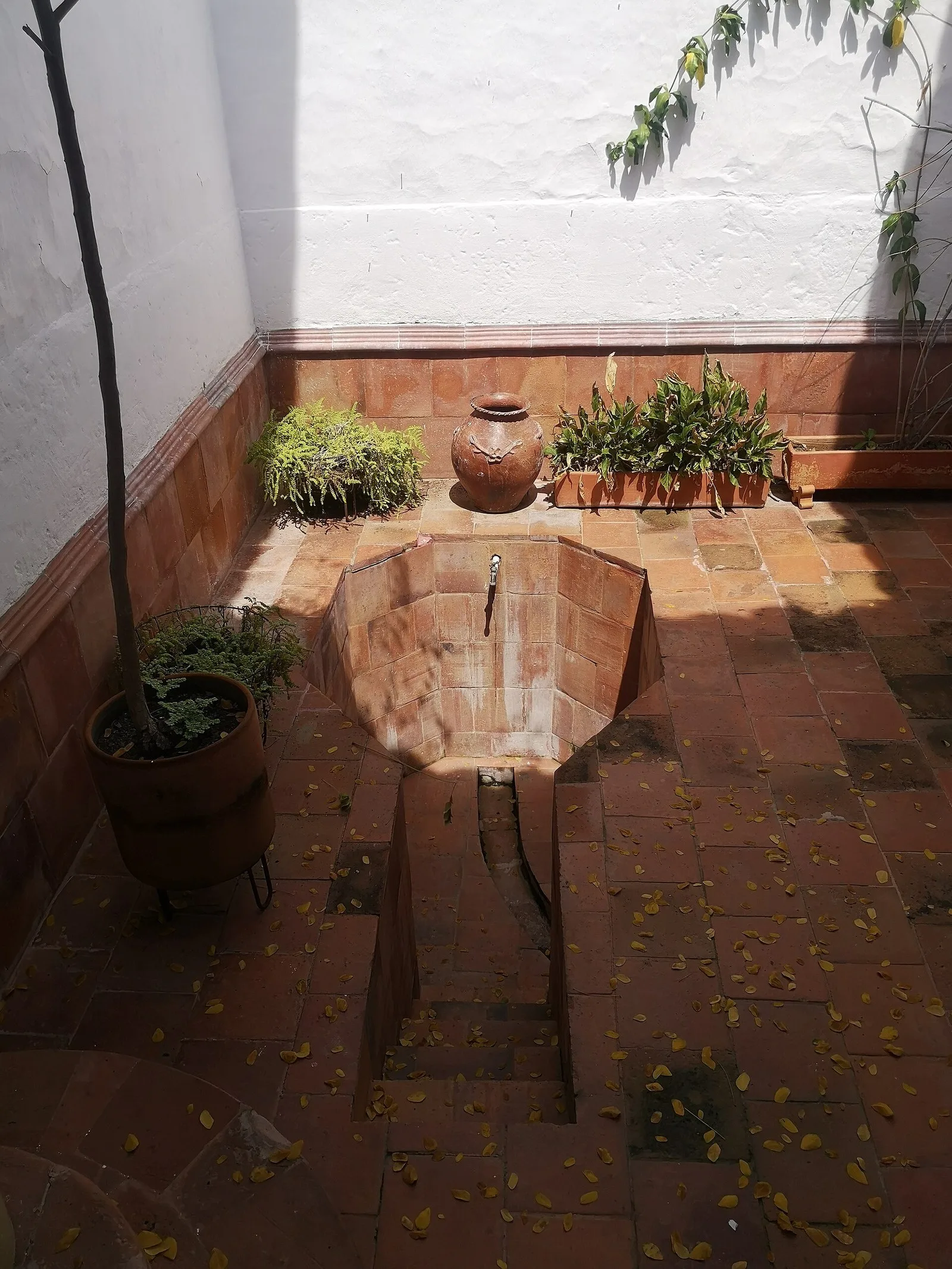 Patio interior con piso de ladrillo, una antigua pila de piedra, plantas y una vasija de barro