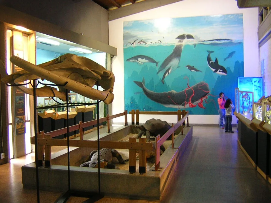 Esqueleto de ballena y mural marino en la sala de Ciencias Naturales del MUUA