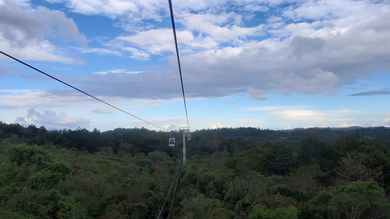 El bosque del Parque Arví visto desde el Metrocable que sube desde Santo Domingo