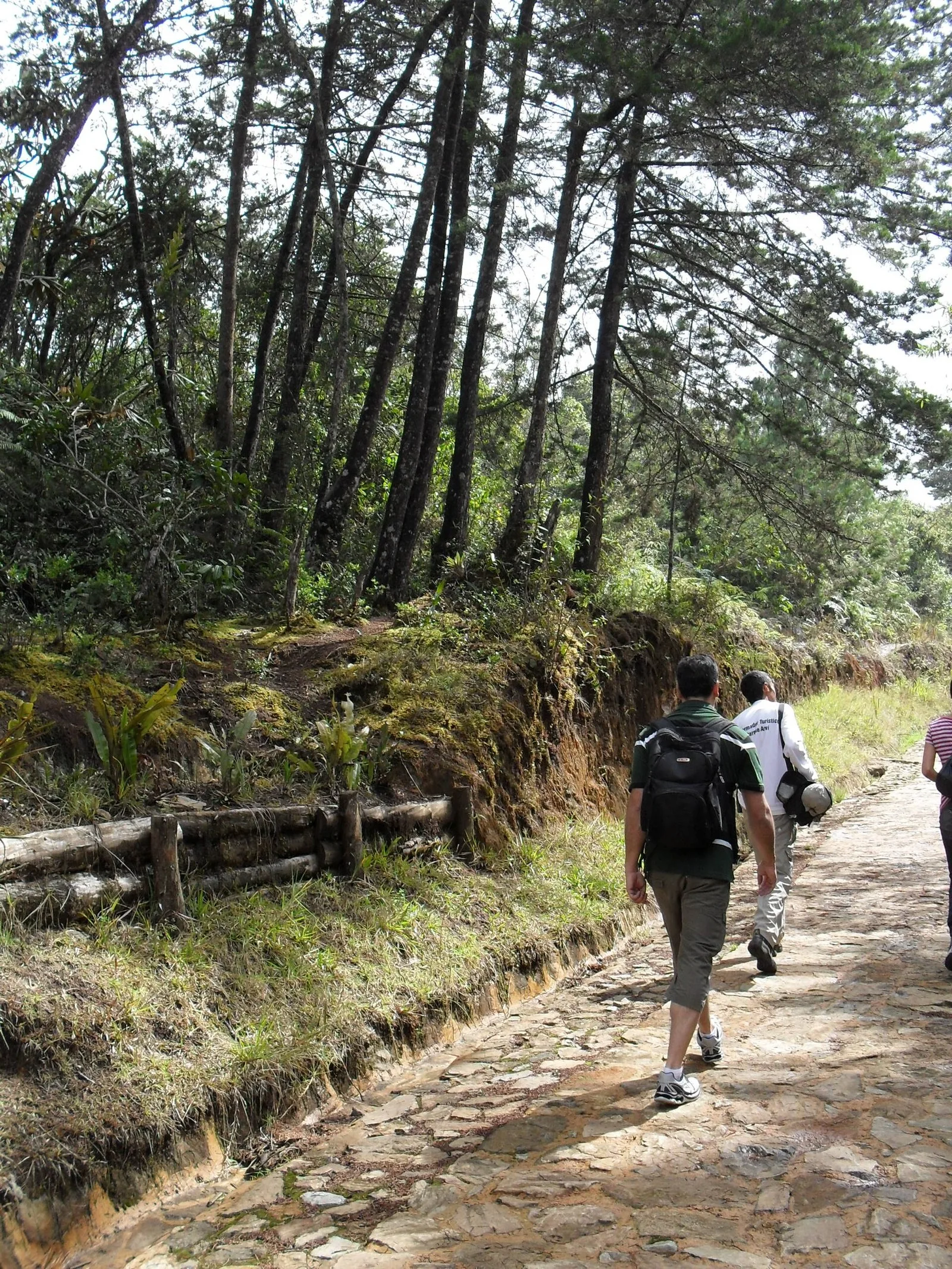 Caminantes en un sendero empedrado del Parque Arví