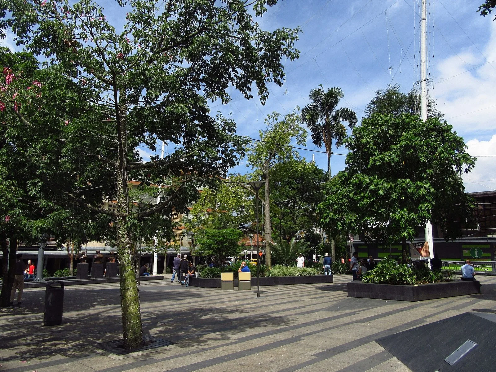Árboles y jardineras en el parque principal de Envigado un día soleado