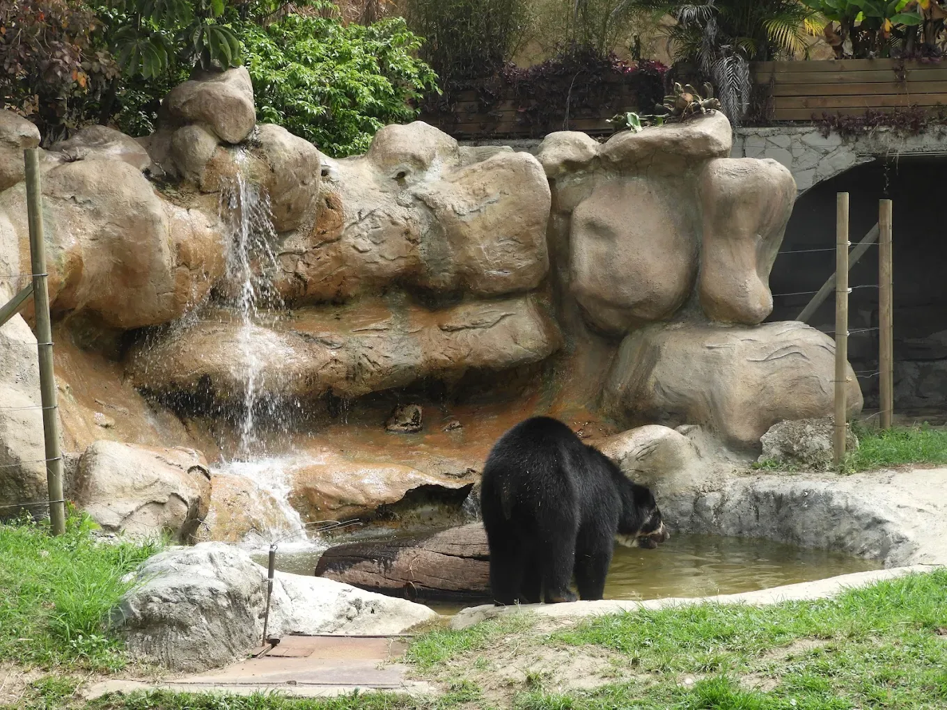 Parque de la Conservación