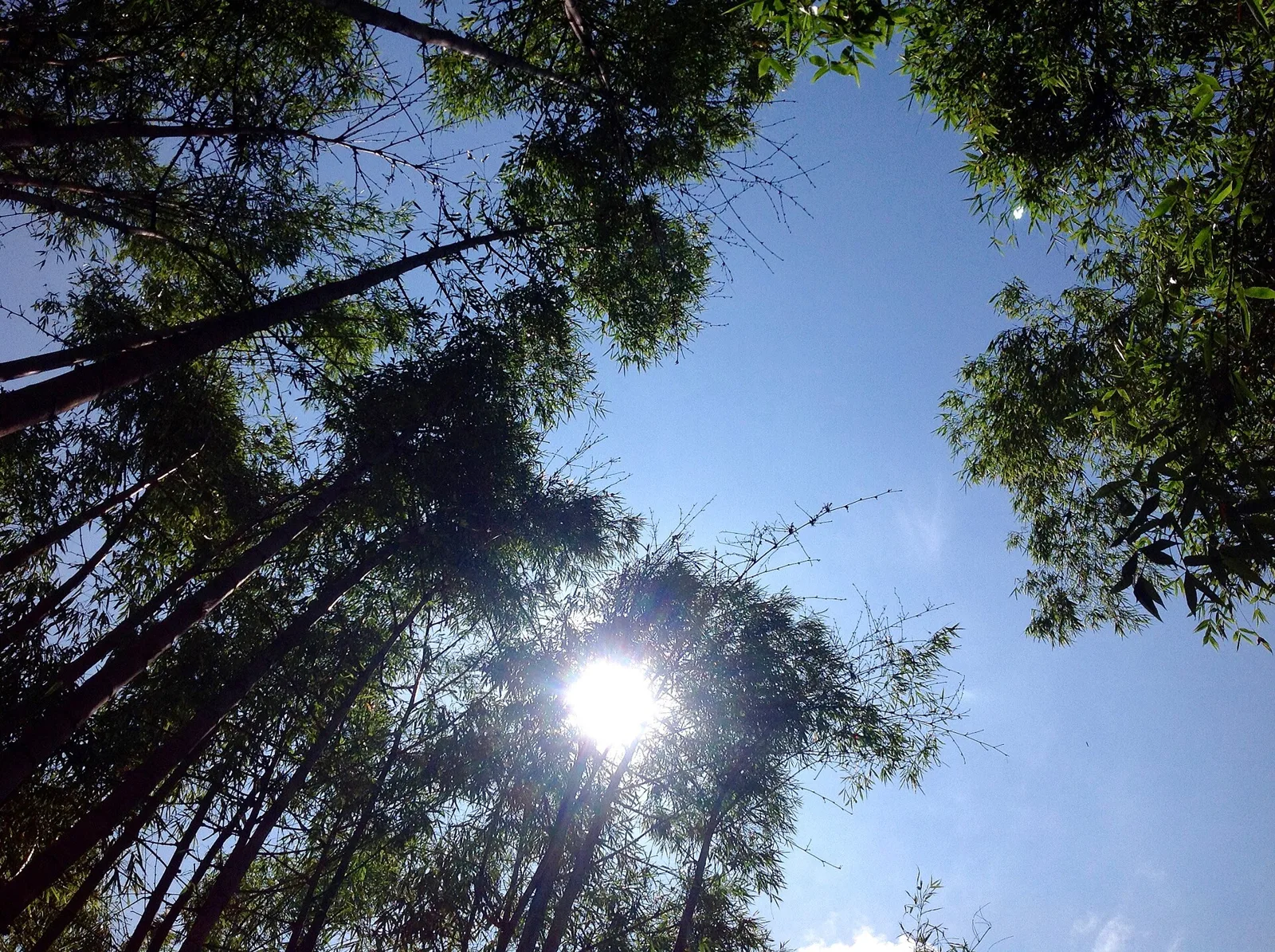 Senderos y fuentes del Parque de los Pies Descalzos, en La Alpujarra