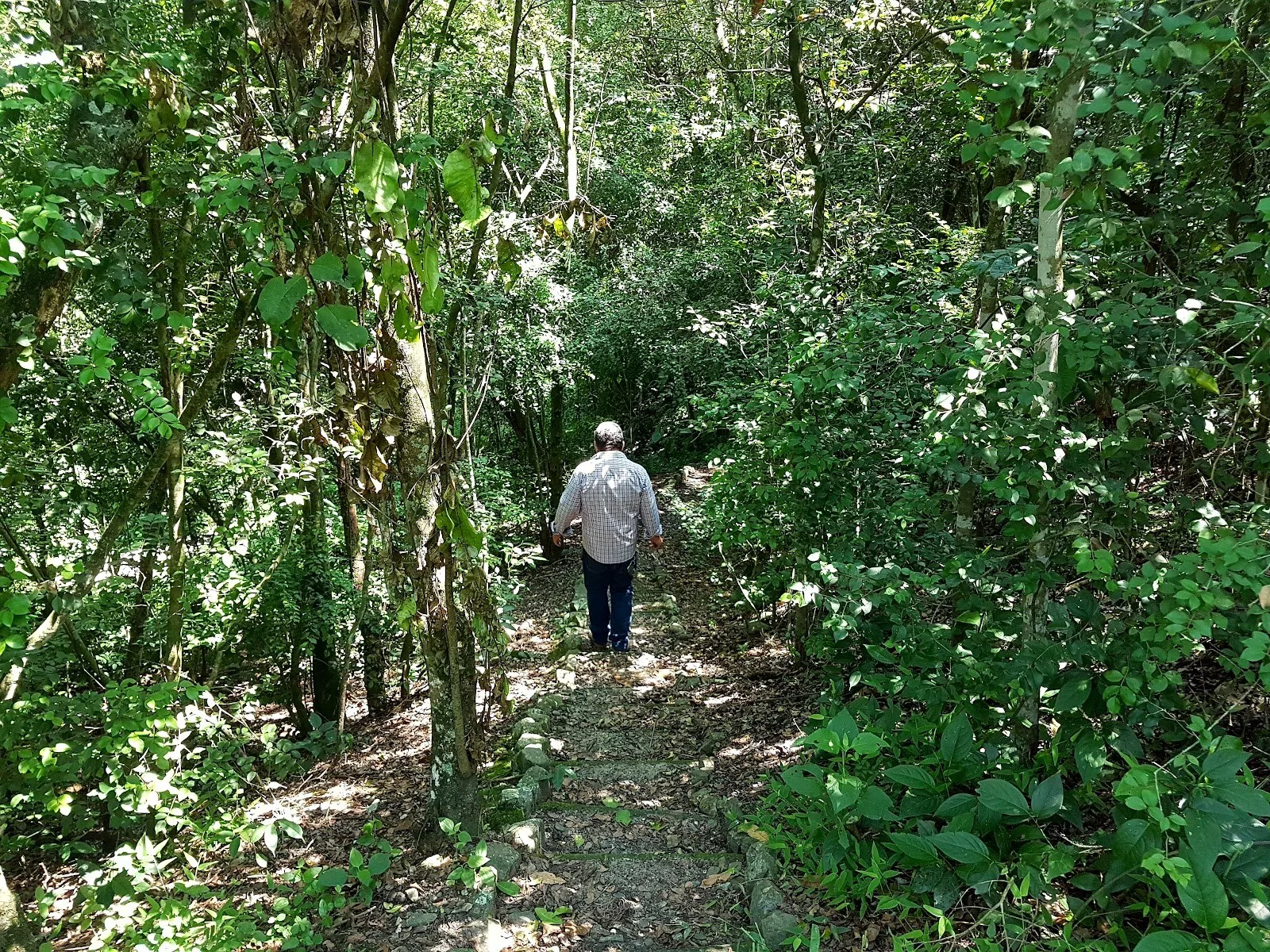 Sendero entre el bosque seco de El Vínculo