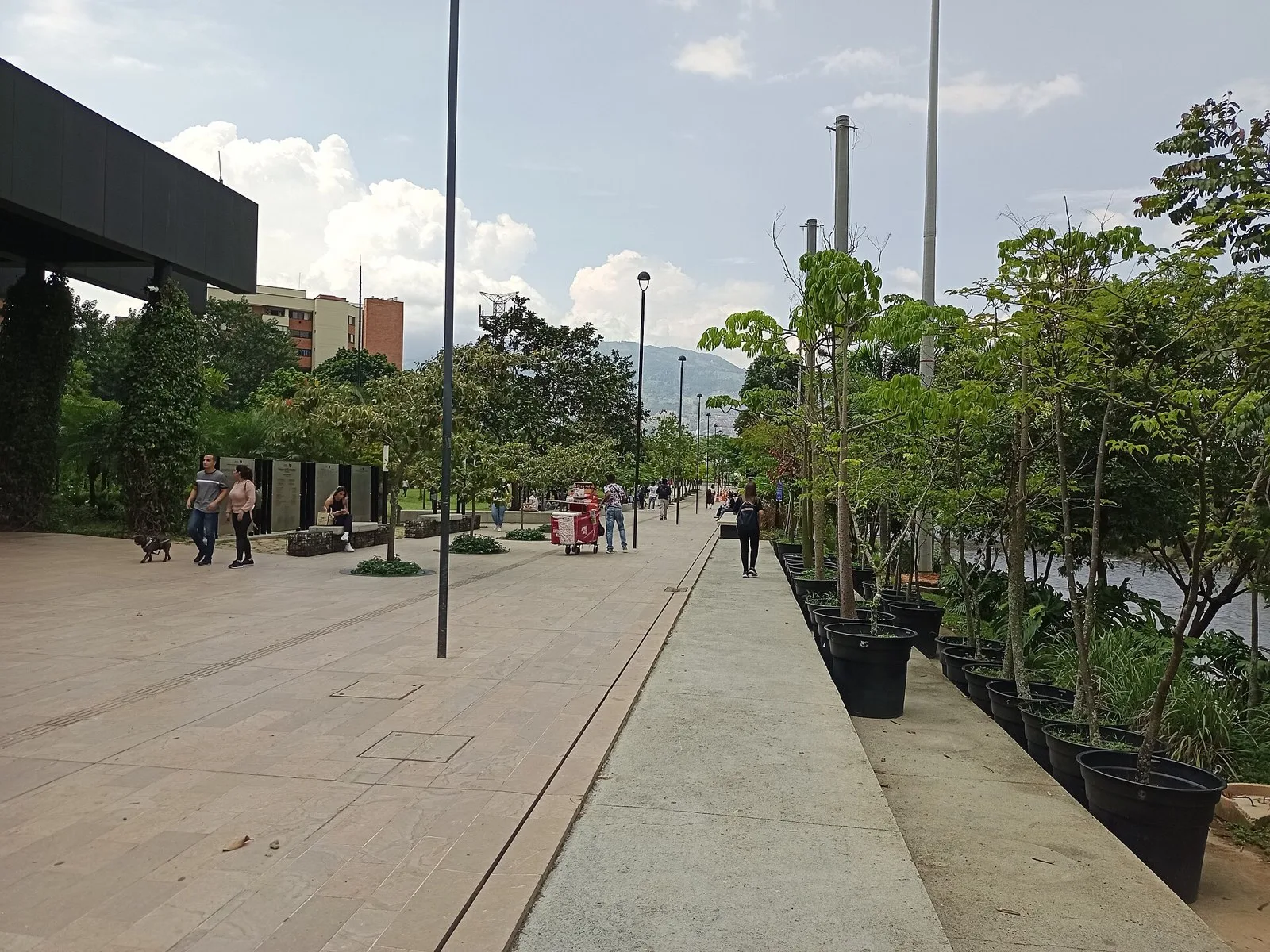 Sendero peatonal con árboles jóvenes en Parques del Río