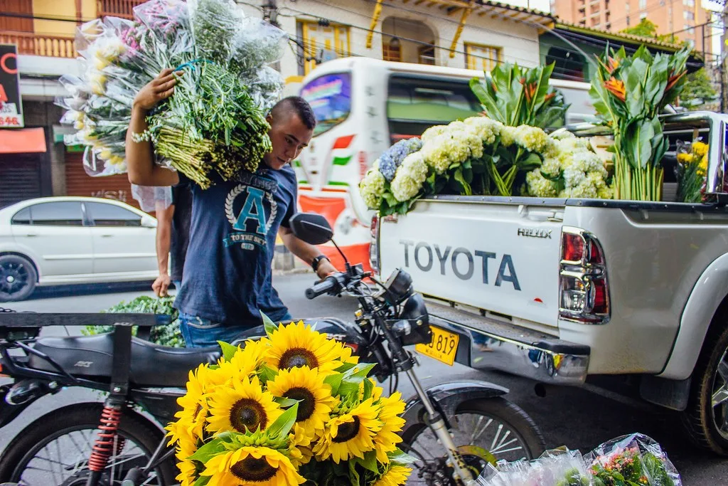Vendedor de flores descargando girasoles y ramos de una camioneta cerca de la Placita de Flórez