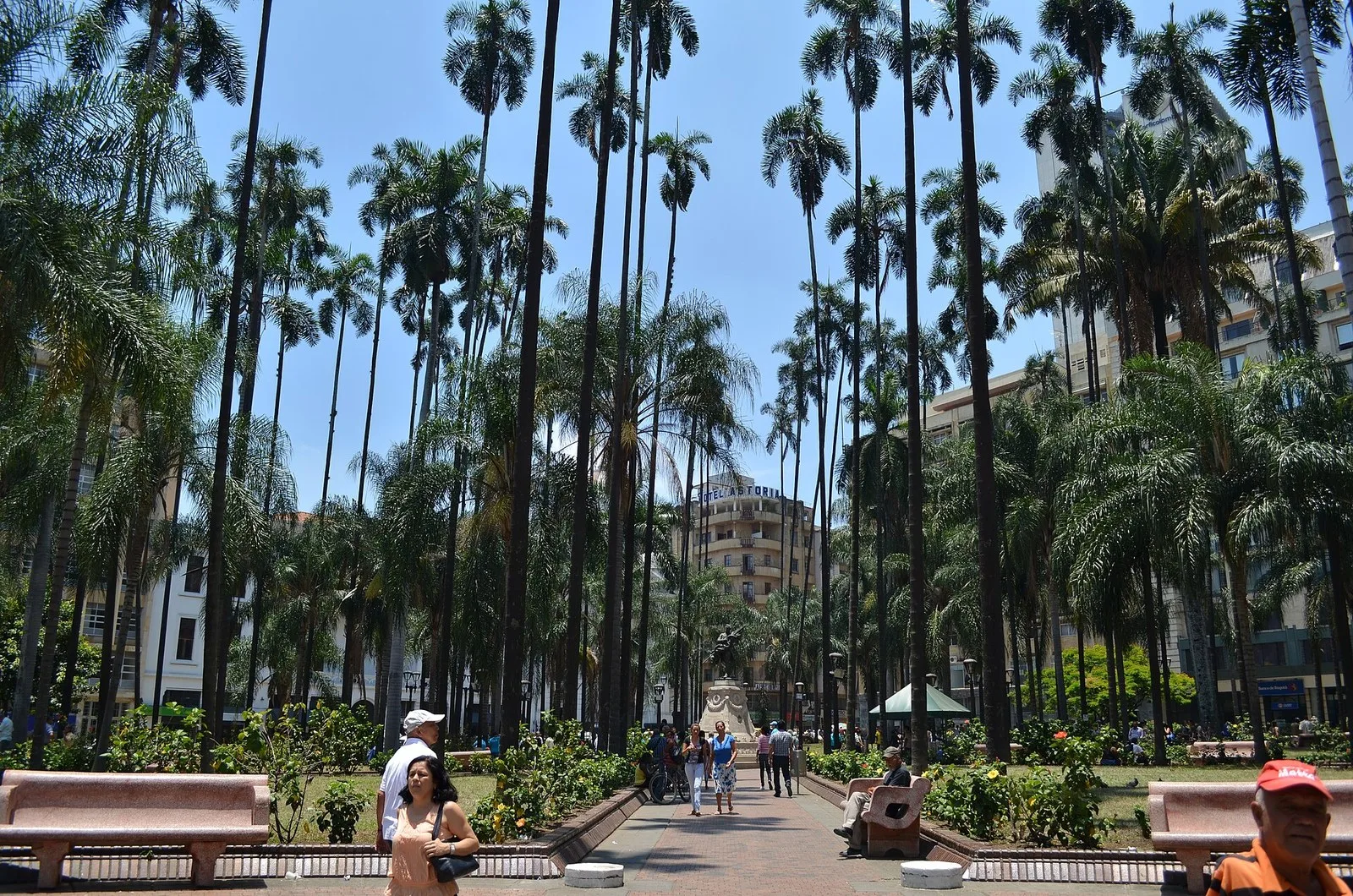 Plaza de Cayzedo y Catedral San Pedro