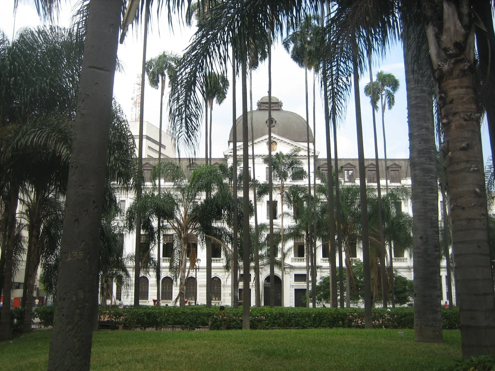 Palacio Nacional visto entre las palmas de la Plaza de Cayzedo