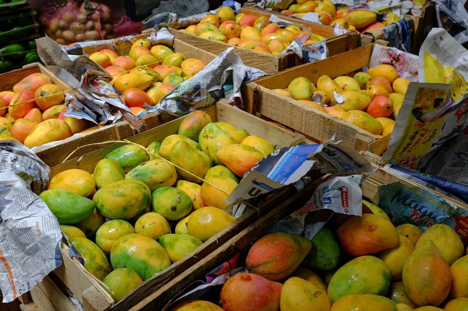 Cajas de mangos maduros en la Plaza Minorista