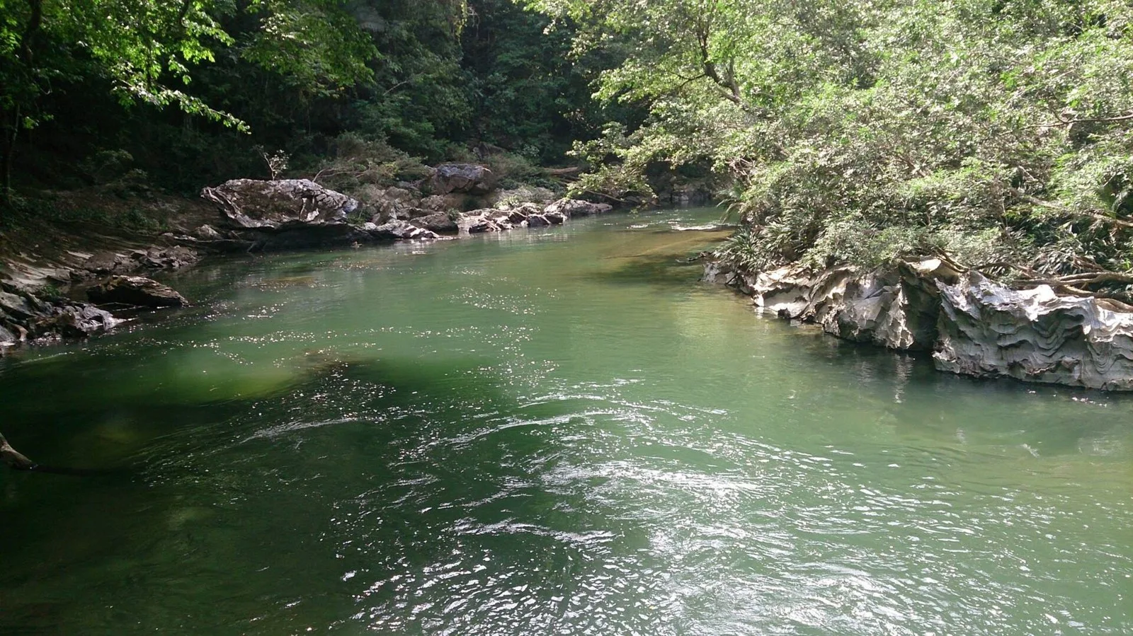 El río Claro corriendo entre rocas de mármol y bosque