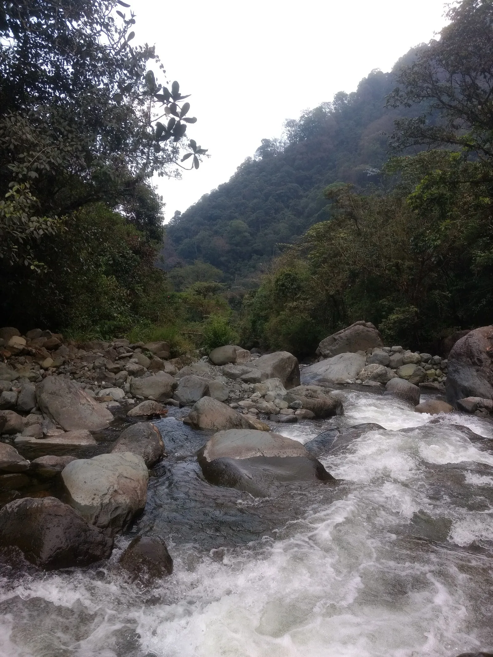 Vegetación y río en Pance, zona rural de Cali