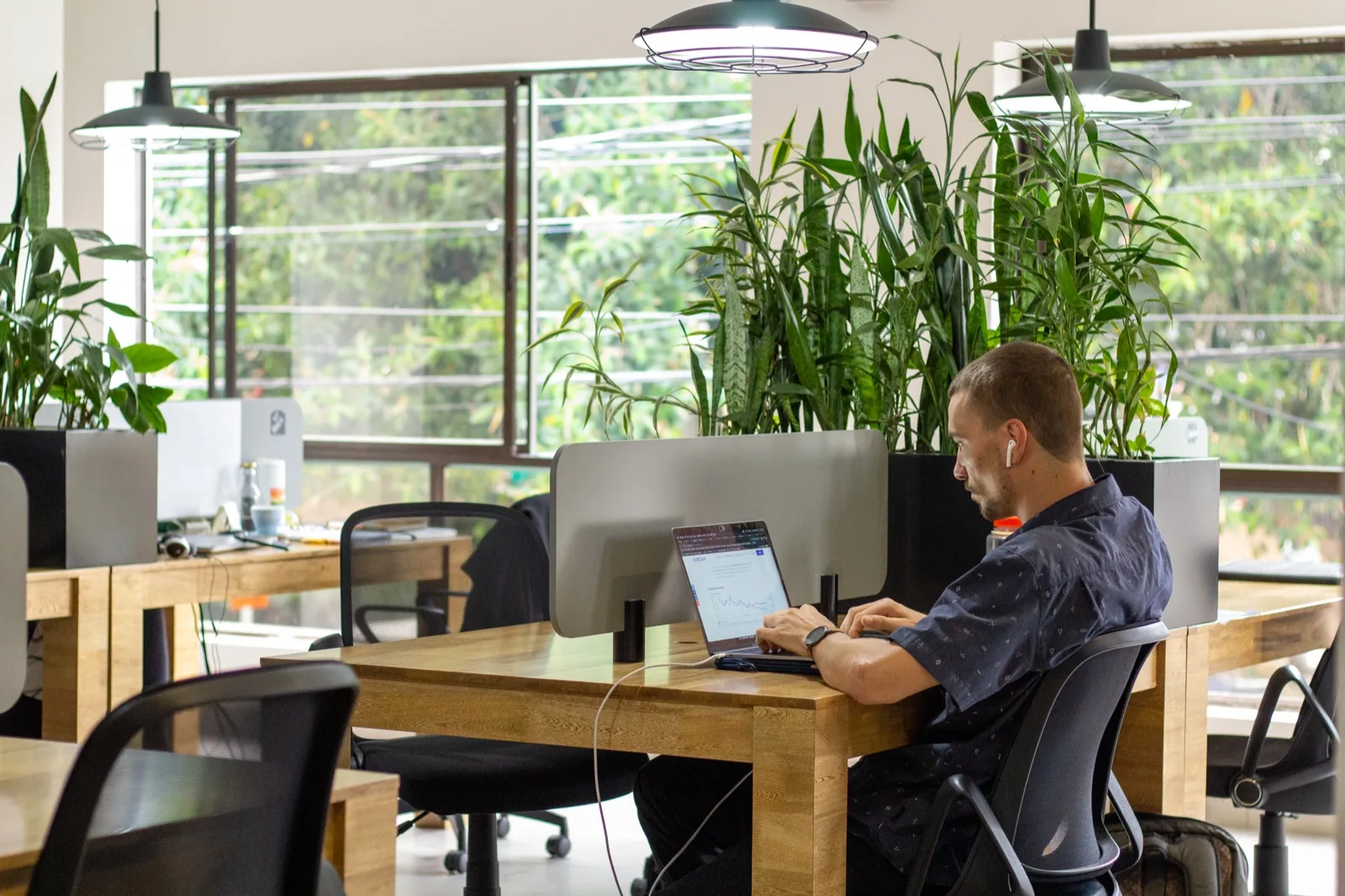 Coworking de Semilla con escritorios, matas en jardineras y ventanales